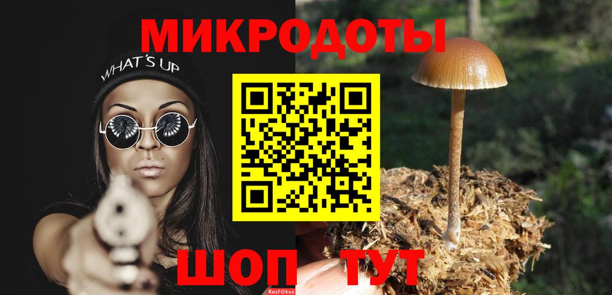 Тула  Псилоцибиновые грибы GOLDEN TEACHER  Галлюциногенные грибы мицелий  Вход с VPN 